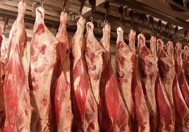 中國養(yǎng)豬網(wǎng)