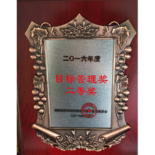 目標(biāo)管理獎二等獎
