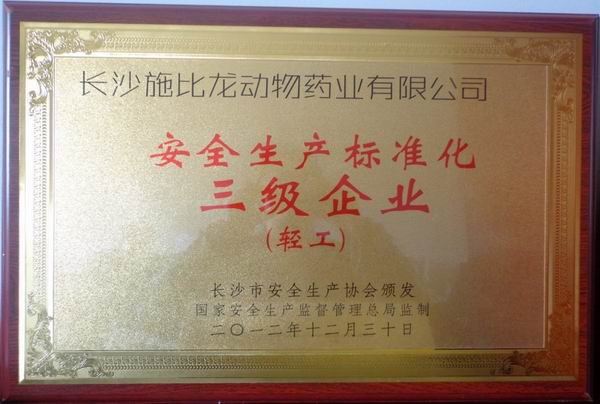 安全生產(chǎn)標(biāo)準(zhǔn)化三級企業(yè)